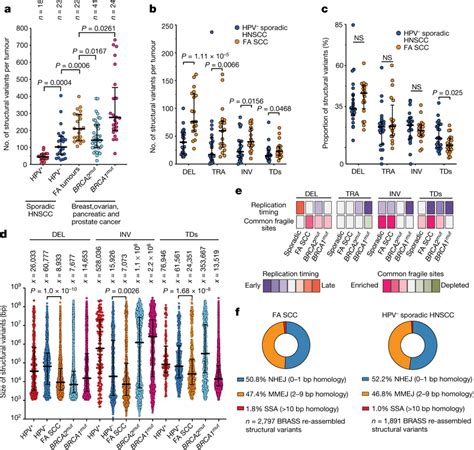 The Structural Variant Landscape Of Fa Sccs A Comparison Of Somatic Sv