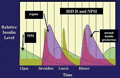 Nph insulin administration