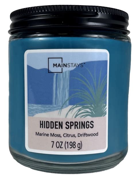 Mainstays Hidden Springs Scented Single Wick Twist Jar Candle Oz