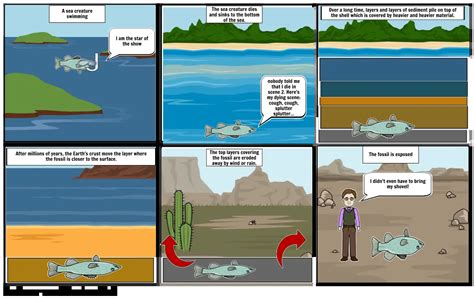 How Fossils Are Formed Storyboard By Sarapark