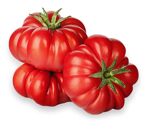 Heirloom Tomatoes | Lipman Family Farms