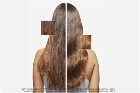 Welcome to Kerastase Website Your Best Choice Hair Products