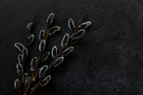 Premium Photo Happy Easter Concept Preparation For Holiday Pussy Willow Flowers Branches On