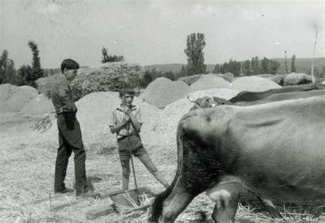 Pozuelo In Turistas Pasmados