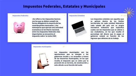 Infografía Impuestos Federal Estatal Y Municipal