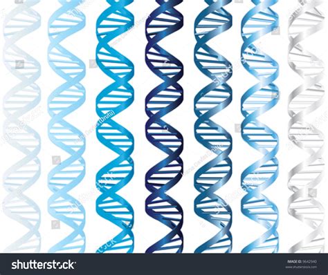 Vector Dna Double Helix In Several Shades Of Matte And Metallic Blue With The Base Pairs As