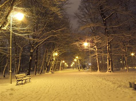 Park Winter Night Free Photo On Pixabay