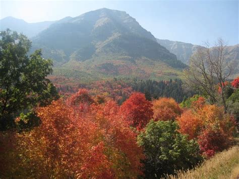 Leaf It To Us — 21 Places To See The Most Spectacular Fall Foliage In