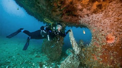 Crece El Parque Submarino En La Localidad De Las Grutas