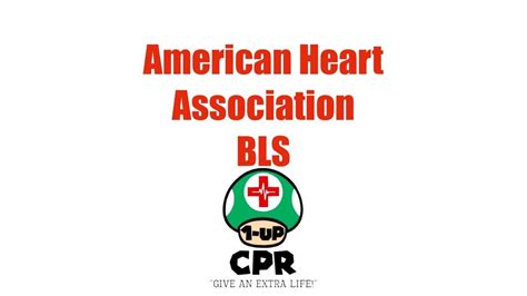 American Heart Association Basic Life Support Bls For Healthcare