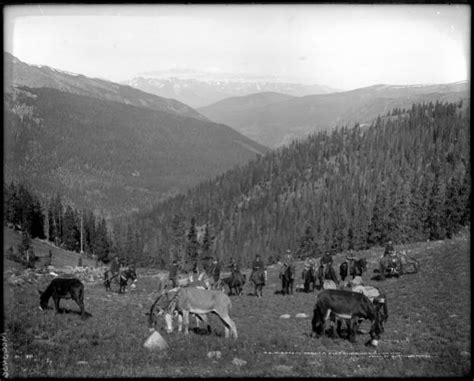 Old Colorado Photos On Twitter Men And Mules Pose On Collier Mountain