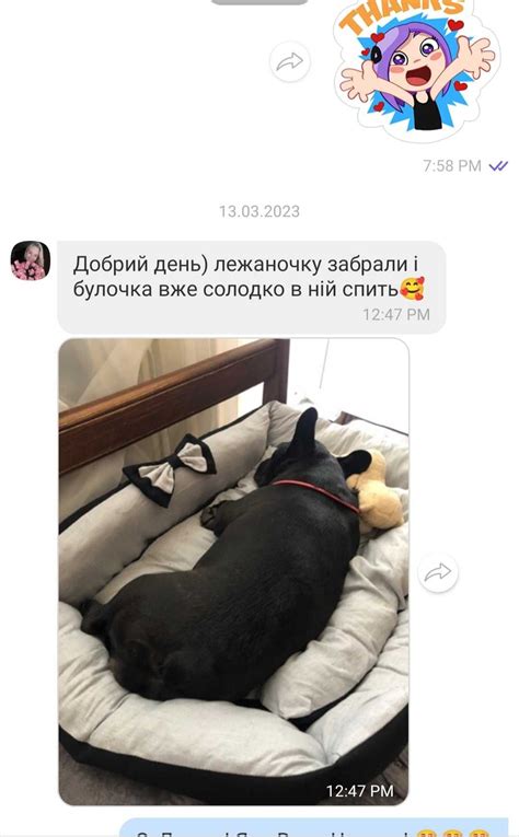 Лежанка для собаки/кота. Ліжко для собаки/кішки. Домик для кота/собаки ...