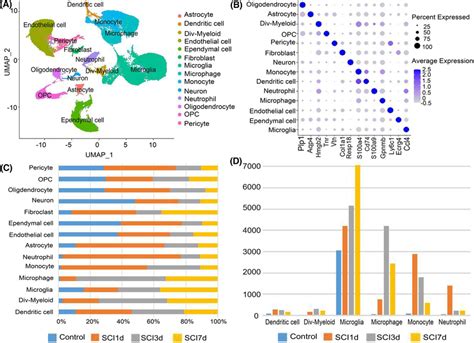 Cell Clusters In Sci Samples A Cell Clustering Diagram With