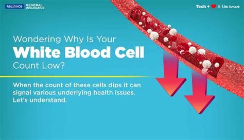 Petechiae Awareness: Causes, Symptoms & When to See a Doctor