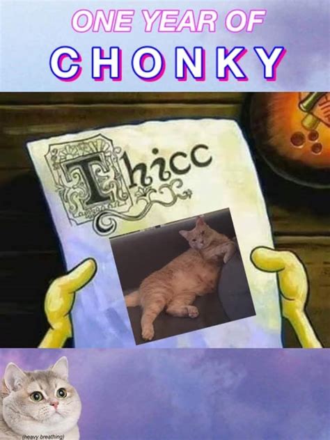 Thicc Thicc Funny Pictures Cat Memes