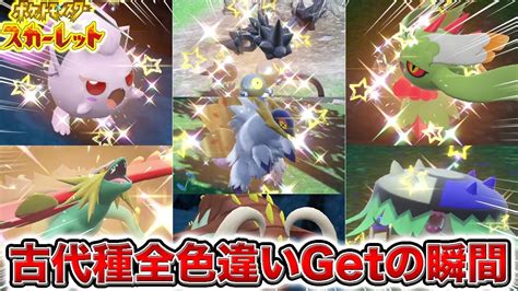 【ポケモンsv】古代種ポケモンの全色違いをgetする瞬間まとめ！！【ポケットモンスタースカーレット・バイオレット】 Youtube