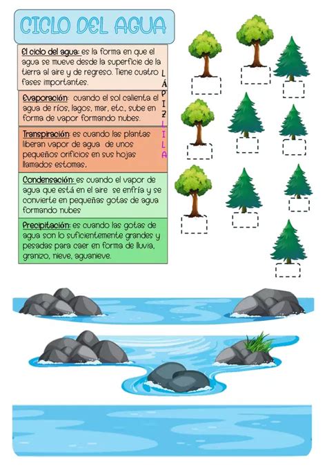 Ciclo Del Agua Armable Profe Social