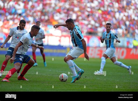 Salvador Bah A Brasil Rd De Julio De Campeonato Brasile O De