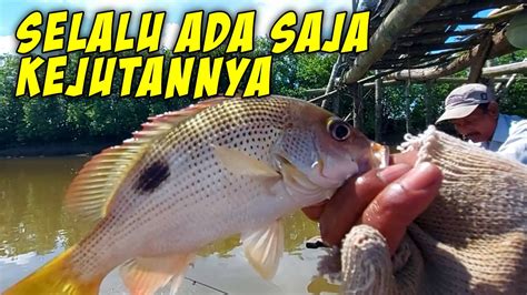 Mancing Dasaran Yang Tak Pernah Membosankan Mancing Dasaran