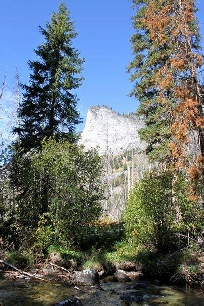 bitterroot mountains hike