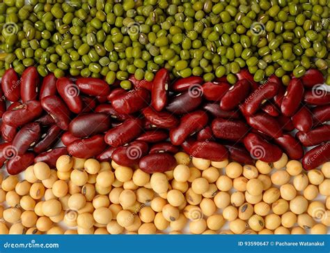 Green Beansoy Beans And Red Bean Background Different Types O Stock