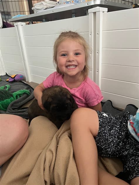 Send Us Your Next Generation Photos Canine Chronicle