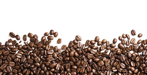 Coffee Beans Footer Transparent PNG StickPNG