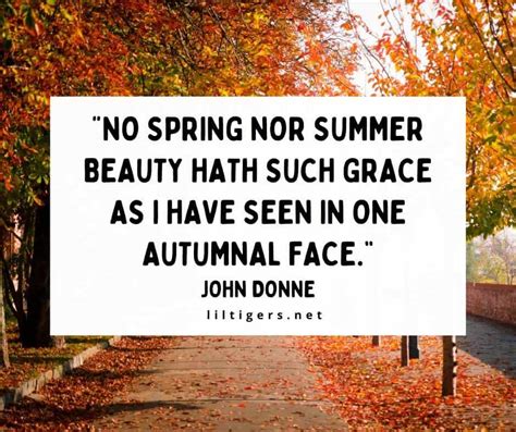 Best Fall Quotes And Sayings For Autumn Lil Tigers