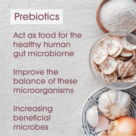 Prebiotics and Probiotics – what you need to know — Noisy Guts