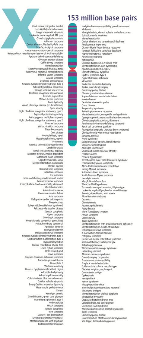 How Are Changes in the X Chromosome Related to Health Conditions? - StoryMD