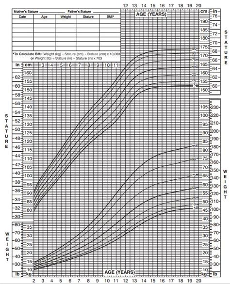 Male Height Weight Chart Obesity