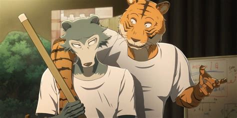 Beastars 10 Things Most Fans Dont Know About The Making Of The Anime