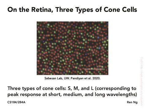 CS184 284A Lecture Slides