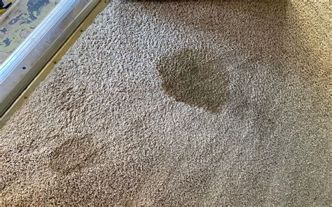 Best Way To Get Melted Wax Out Of Carpet At Anthony Seda Blog