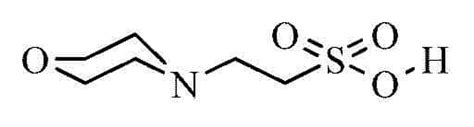 Acros Organics Ac172590250 Mes Hydrate 99 25g From Cole Parmer