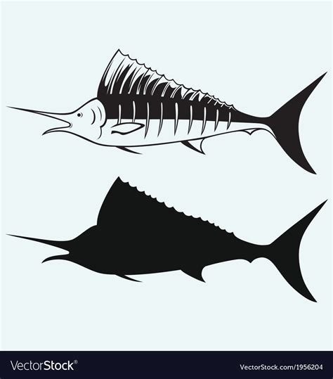 Sailfish Saltwater Fish Royalty Free Vector Image