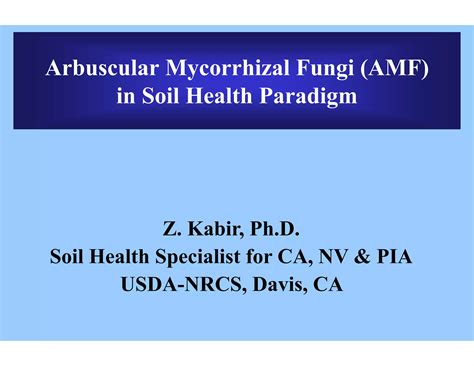 Arbuscular Mycorrhizal Fungi Kabir Ppt Free Download