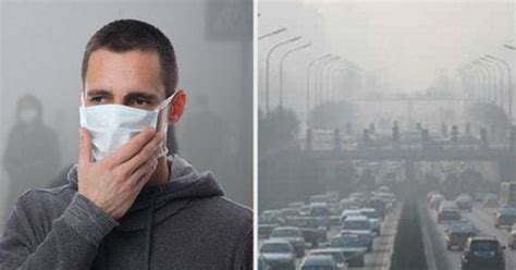 ¿cómo Afecta A Tu Cuerpo La Contaminación Del Aire