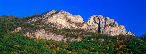 Traversing The Mon 9 Must See Sites In Wvs Massive National Forest
