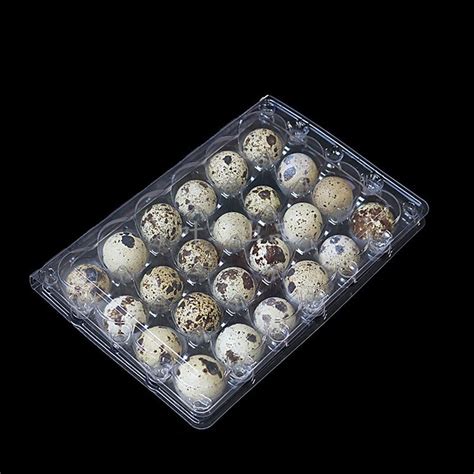 Jual Fcw Telur Puyuh Segar Quail Eggs Isi Butir Mika Shopee