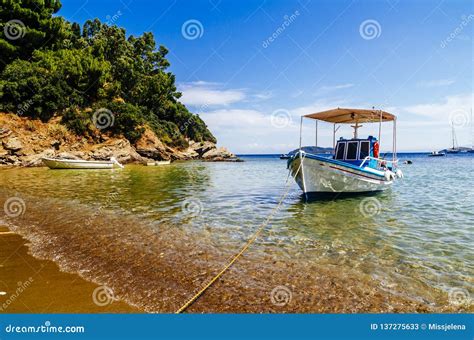 Traditional Colorful Boats In Old Town Of Skiathos Island Sporades