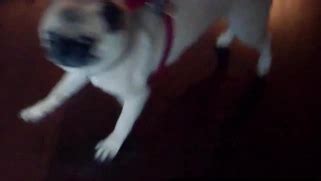 Sexy Small Tits Blonde MILF Revealed Hot Body During Passion Posing Action Porn Movies 3Movs