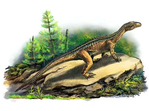 Armored Archosaur Discovery Reveals Complexity Of Dinosaur Origins