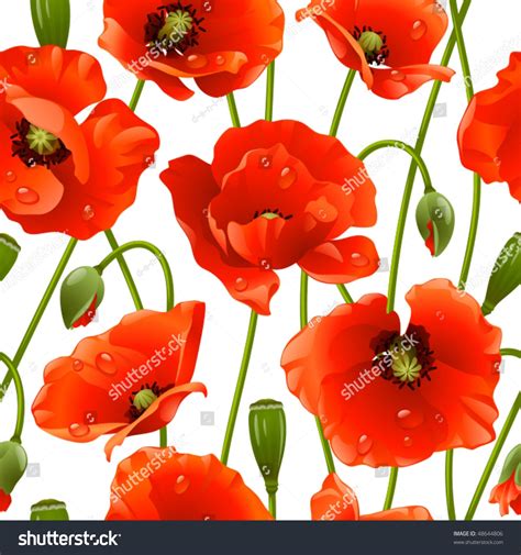 Seamless Background Poppy Stock Vector Illustration 48644806