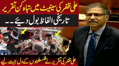 Barrister Syed Ali Zafar Aggressive Speech In Senate Express News