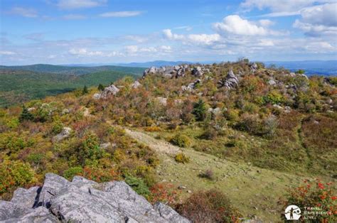 Hiking in Grayson Highlands State Park, Virginia - Travel. Experience ...