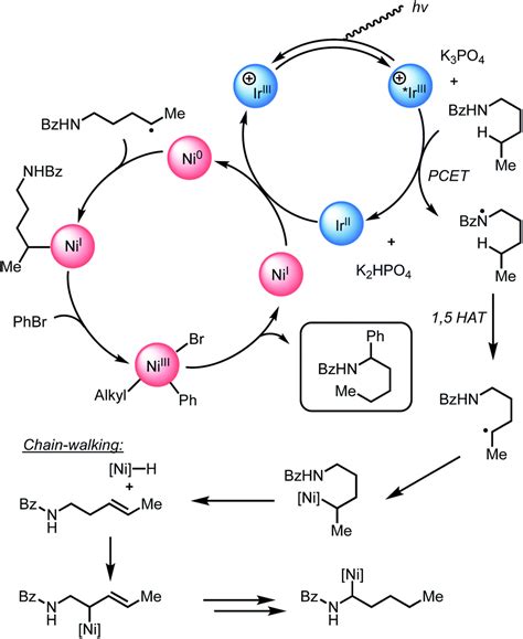 Investigations Into Mechanism And Origin Of Regioselectivity In The