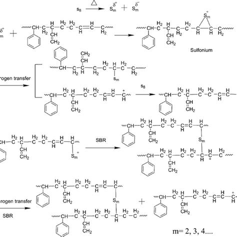 The schematic diagram of reaction mechanism of sulfur with SBR ...