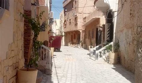 L ASM Et Les Habitants De Gafsa Transforment La Vieille Ville En Oasis