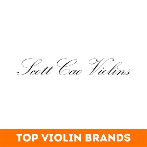 Top 27+ Best Violin Brands in the World -BeNextBrand.com